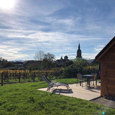 Gertwiller Domaine Rosfelder - Locations De Gite Et Cabane Insolite מראה חיצוני תמונה