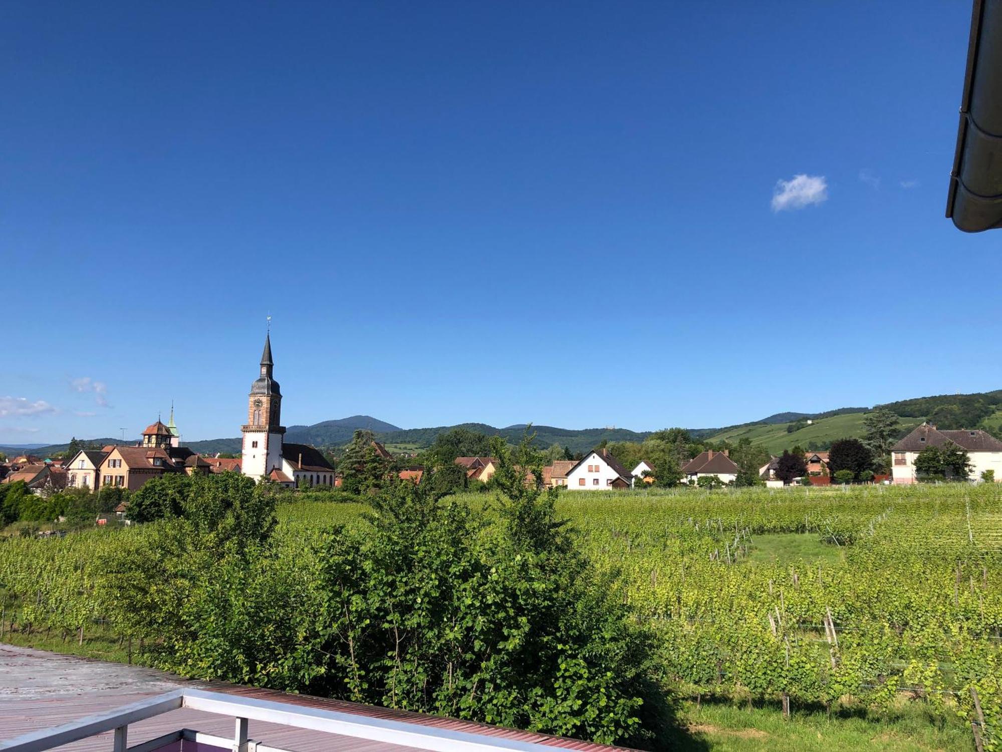 Gertwiller Domaine Rosfelder - Locations De Gite Et Cabane Insolite מראה חיצוני תמונה