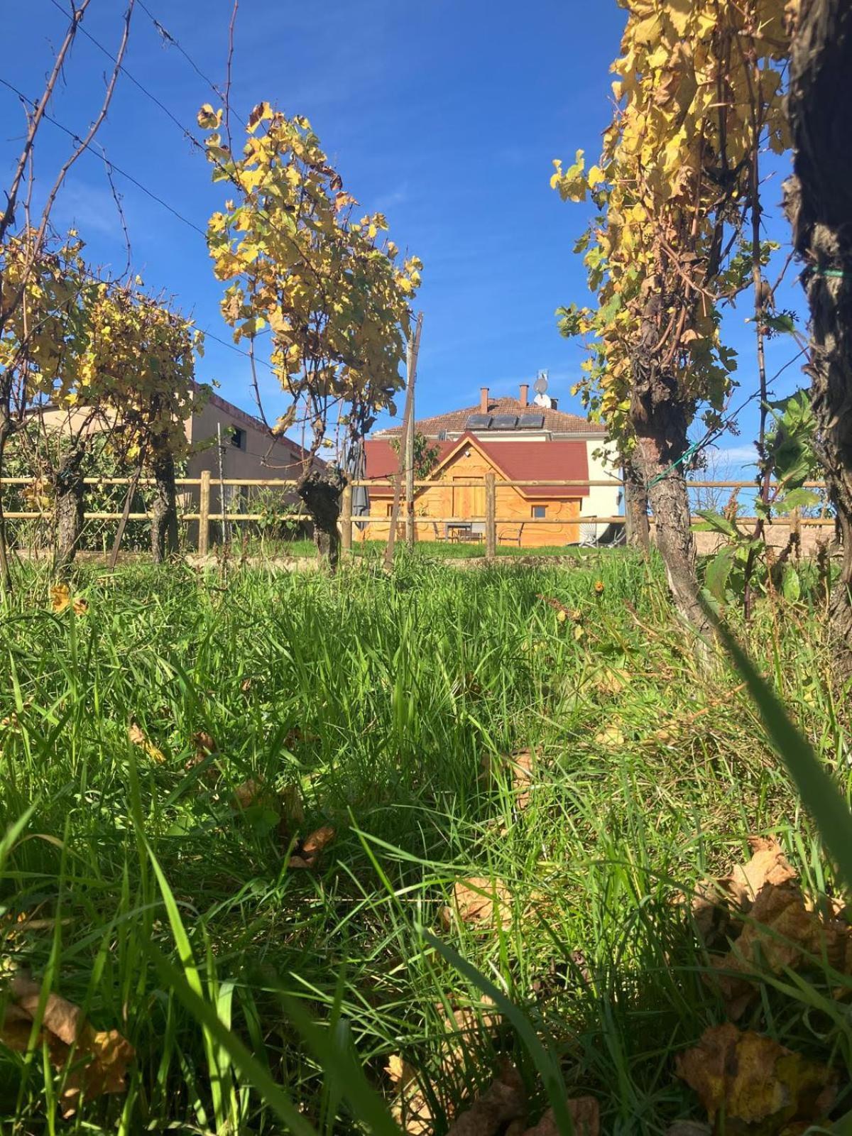 Gertwiller Domaine Rosfelder - Locations De Gite Et Cabane Insolite מראה חיצוני תמונה