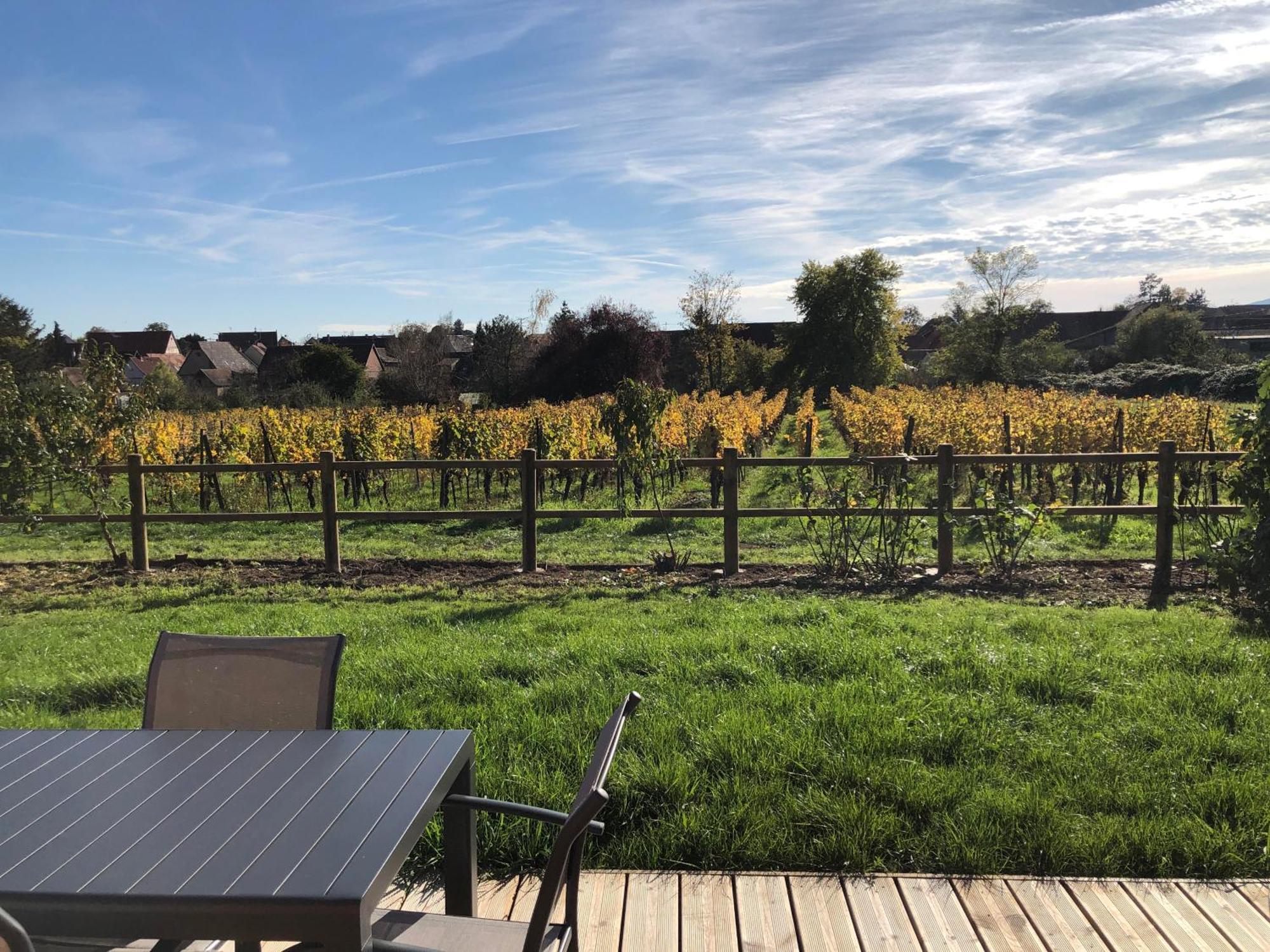 Gertwiller Domaine Rosfelder - Locations De Gite Et Cabane Insolite מראה חיצוני תמונה